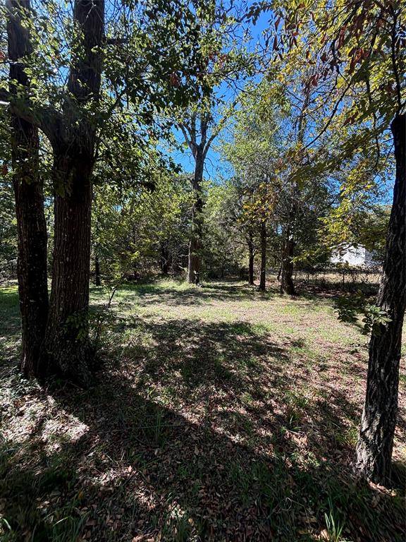 Hawk Cove, TX 75474,TBD Nada Street