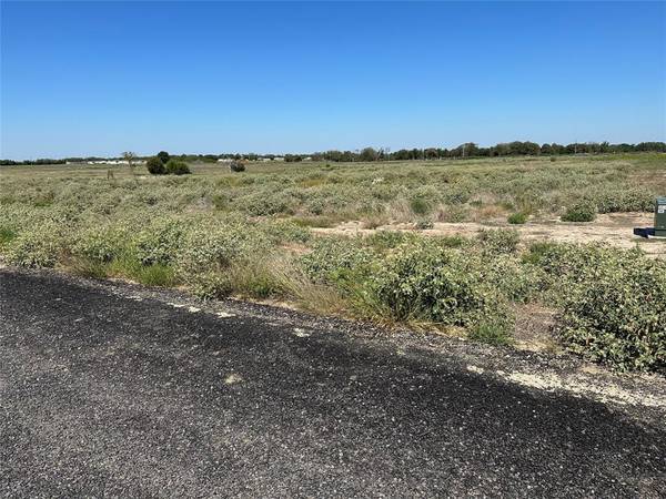 Celeste, TX 75423,Lot 12 Willow Road