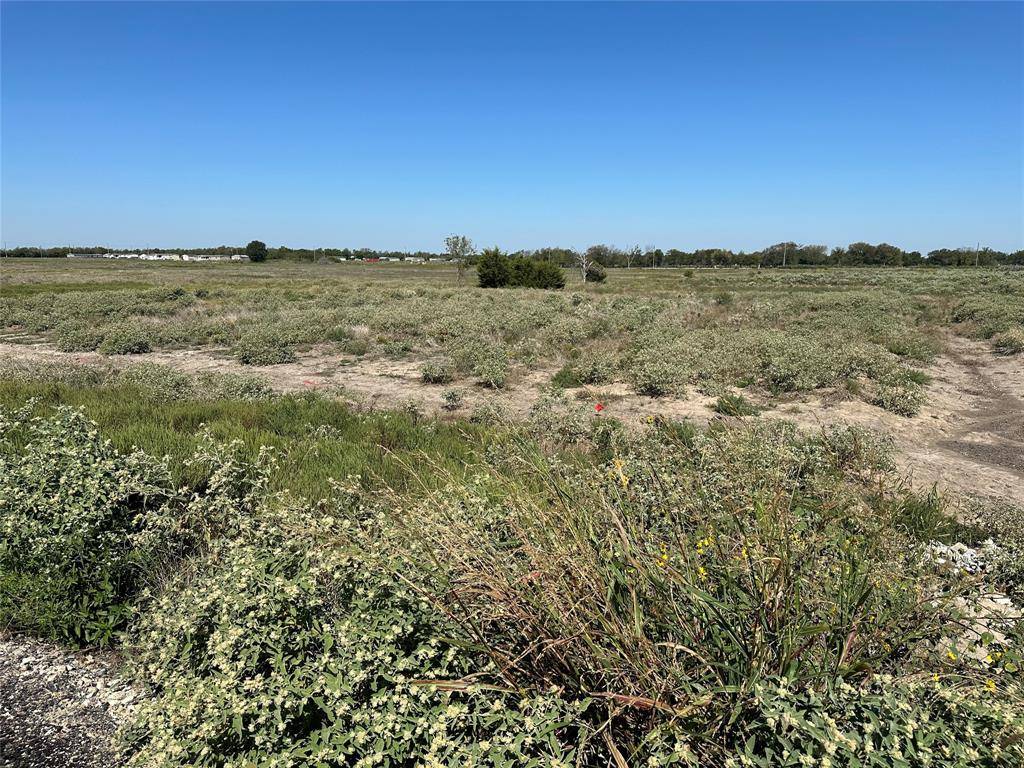 Celeste, TX 75423,Lot11 Willow Road