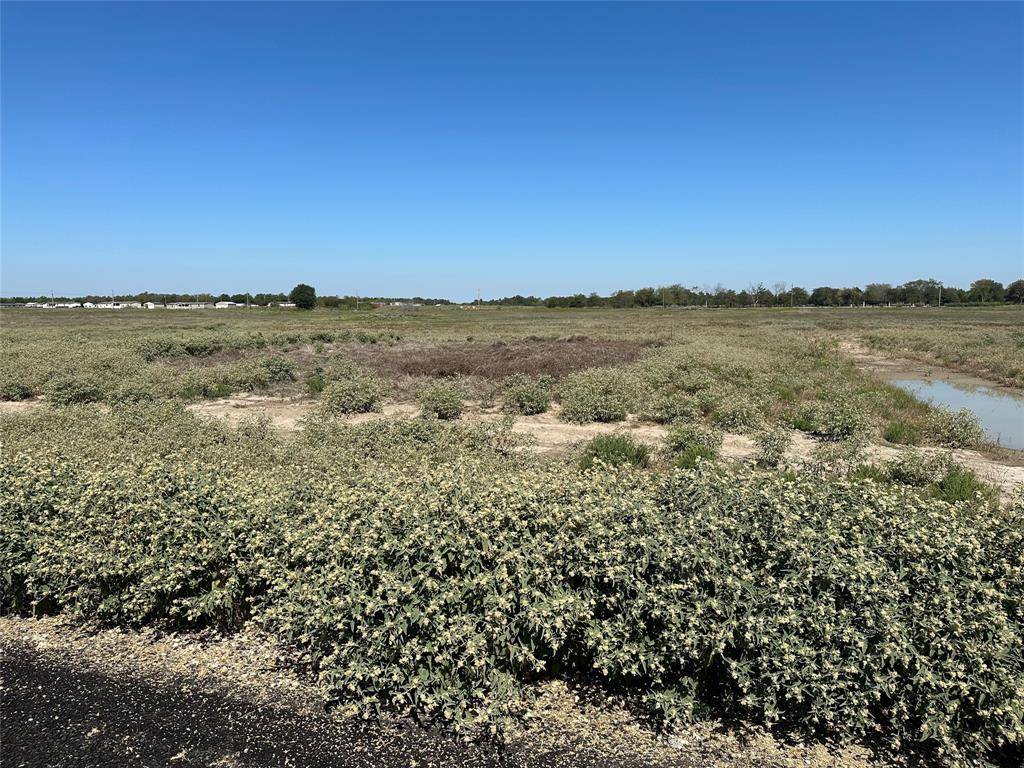 Celeste, TX 75423,Lot 9 Willow Road