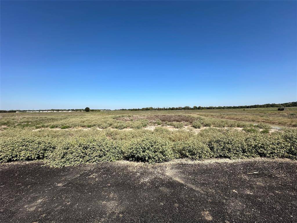 Celeste, TX 75423,Lot 9 Willow Road