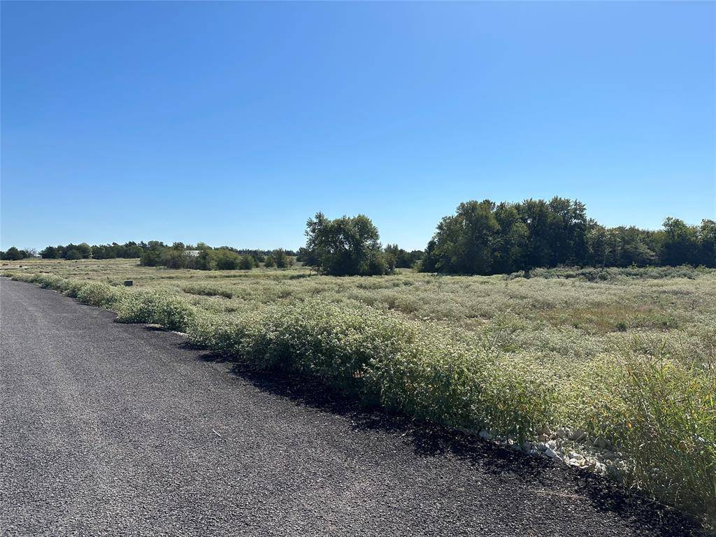 Celeste, TX 75423,Lot 28 Willow Road