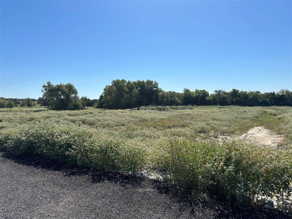 Celeste, TX 75423,Lot 28 Willow Road