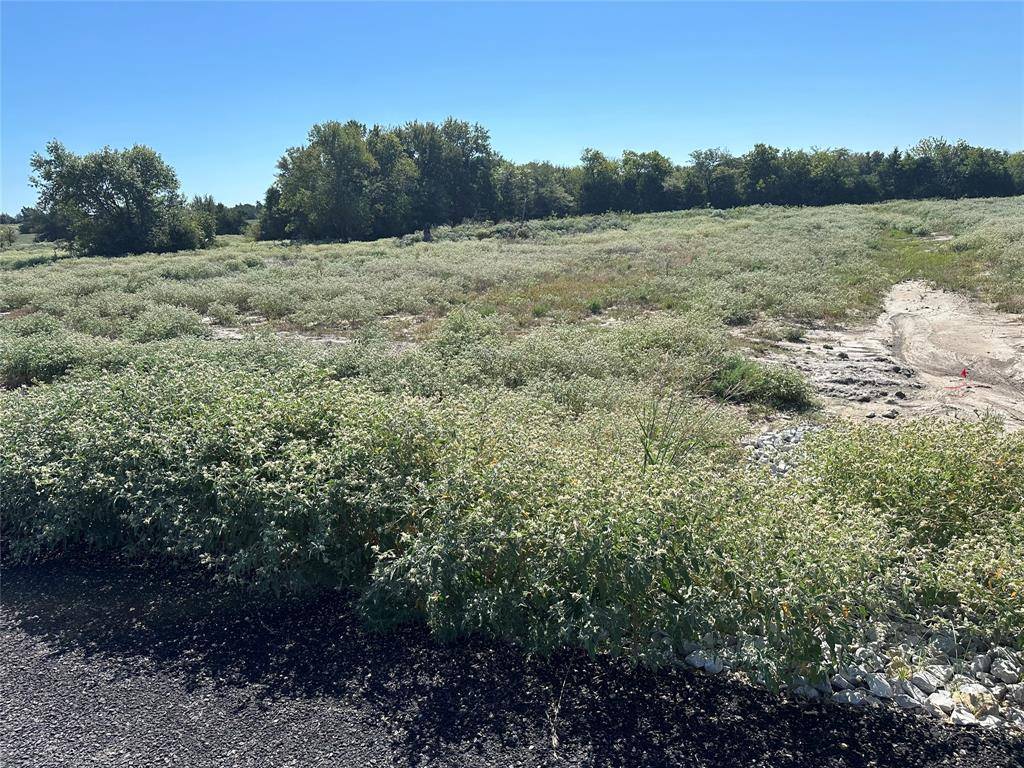 Celeste, TX 75423,Lot 28 Willow Road