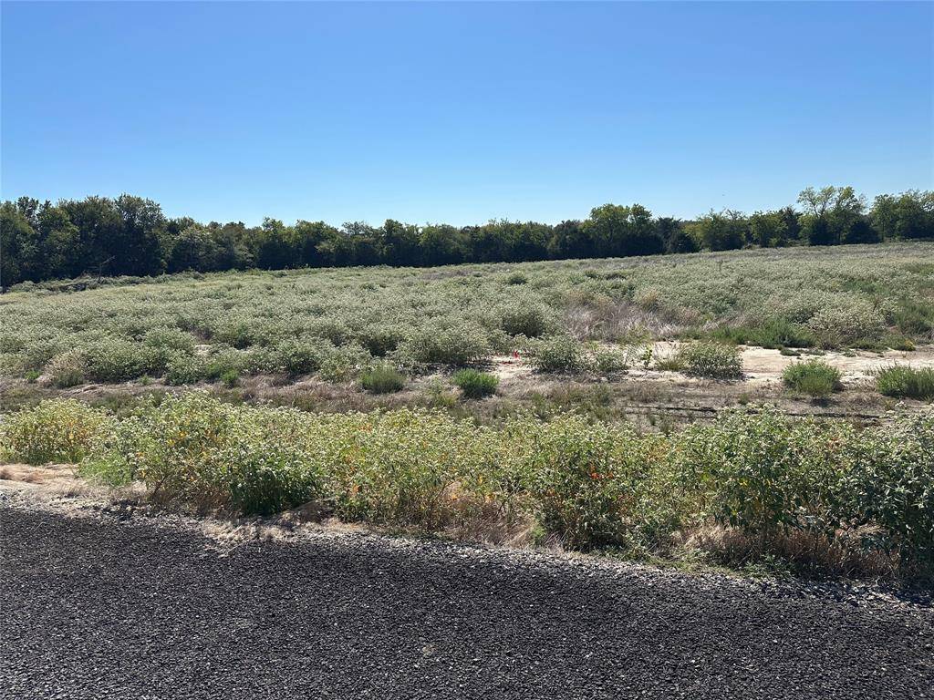 Lot 29 Willow Road, Celeste, TX 75423