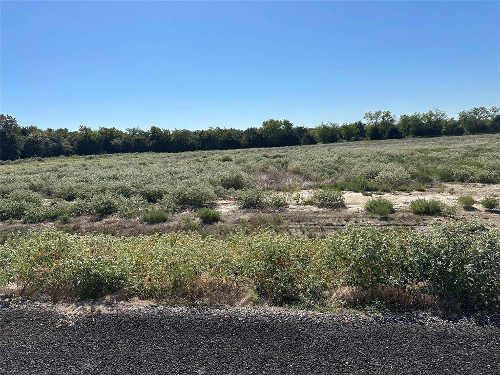 Celeste, TX 75423,Lot 29 Willow Road