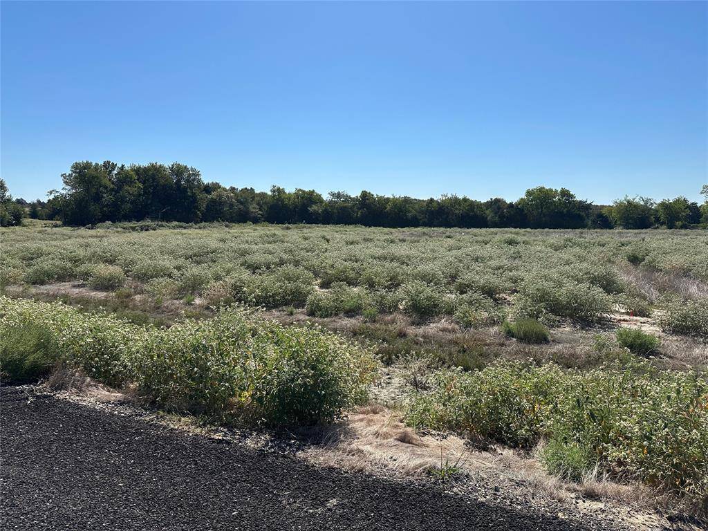 Celeste, TX 75423,Lot 29 Willow Road