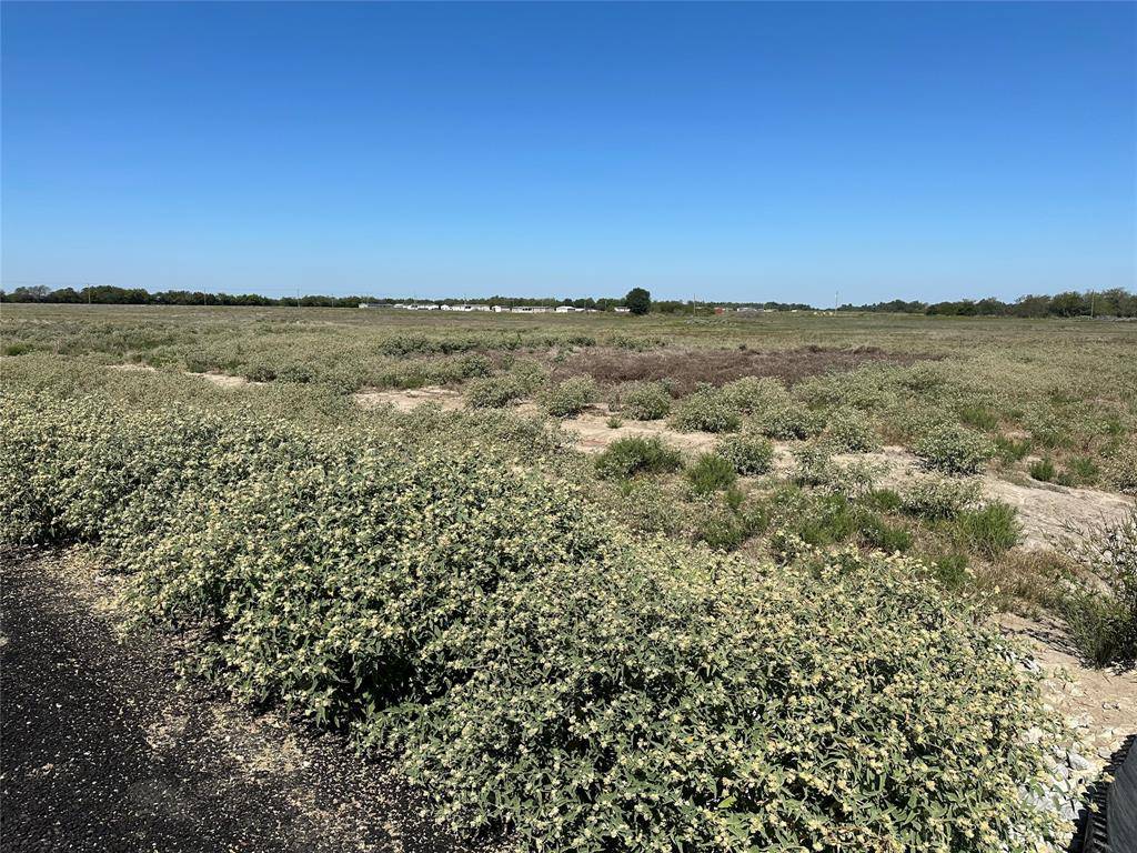 Celeste, TX 75423,Lot 9 Willow Road