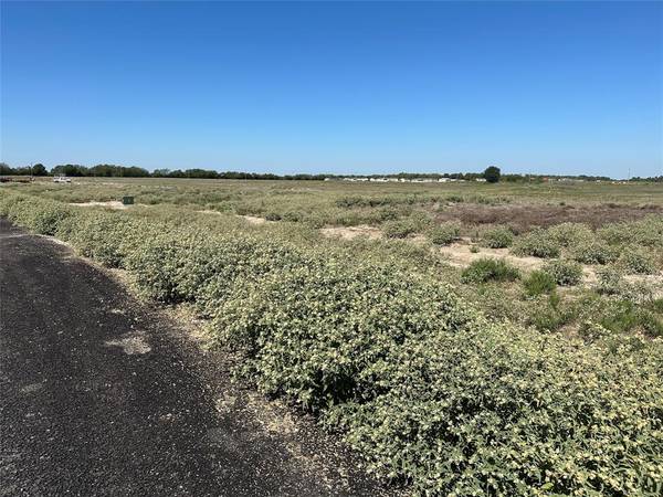 Celeste, TX 75423,Lot 9 Willow Road