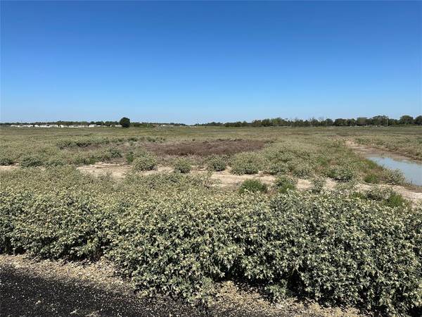 Celeste, TX 75423,Lot 9 Willow Road