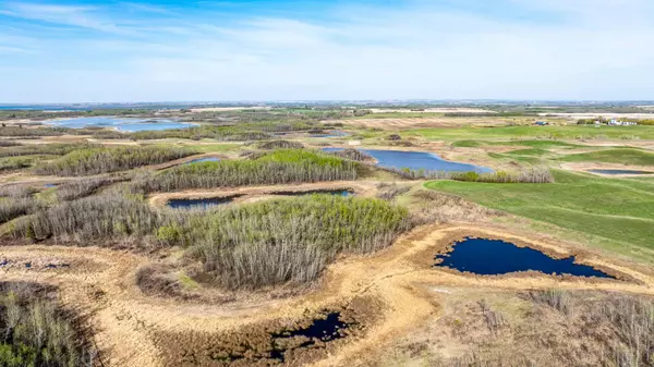 Rural Camrose County, AB T0B 0H0,Range Road 204