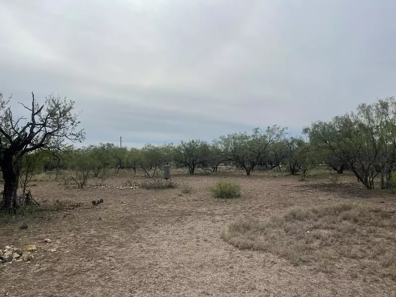 900 County Rd 110, Eldorado, TX 76936