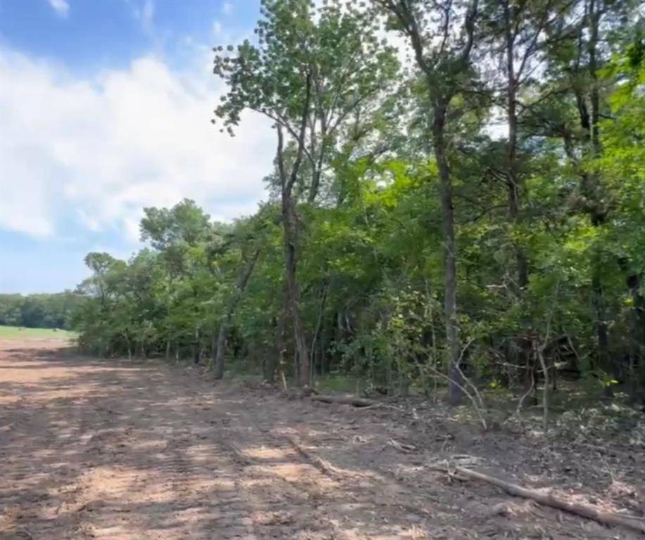 Pottsboro, TX 75076,Lot 48 Spout Springs Road