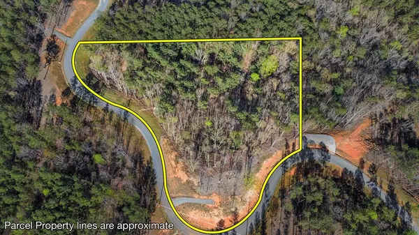 Ellijay, GA 30540,Lot 103 Blalock Mountain Road