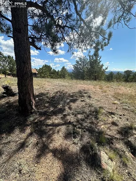 627 Navajo TRL, Florissant, CO 80816