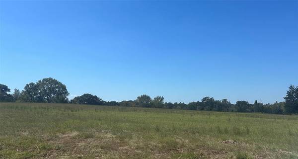 Murchison, TX 75778,0000 FM 607 S