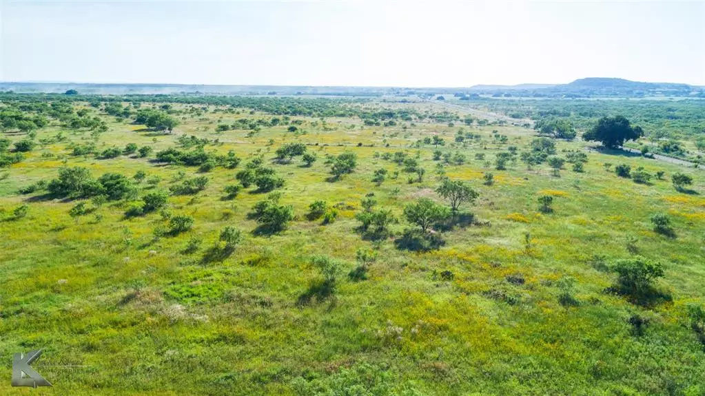 Clyde, TX 79510,TBD County Road 202 County Road 202