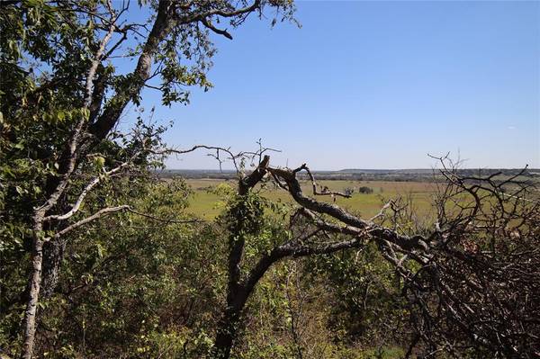 Hamilton, TX 76531,TBD County Road 513