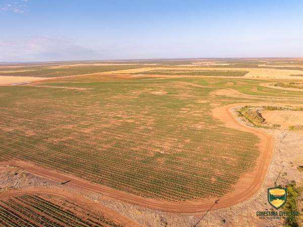 Sylvester, TX 79560,TBD County Road 158