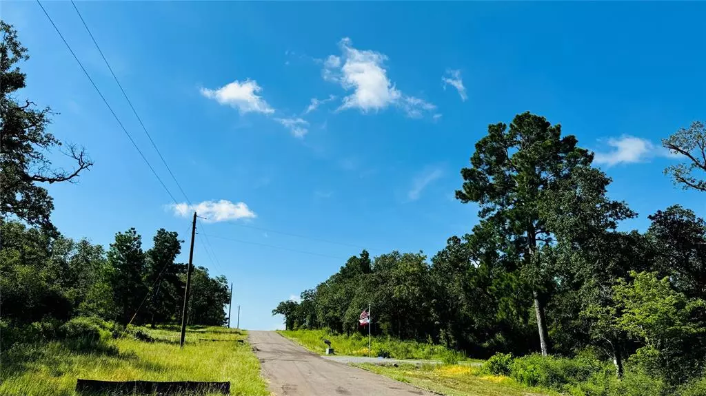 Tract 10 County Road 2925, Buffalo, TX 75831