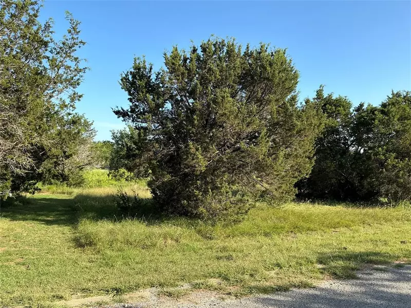 39300 Cedar Trail, Whitney, TX 76692