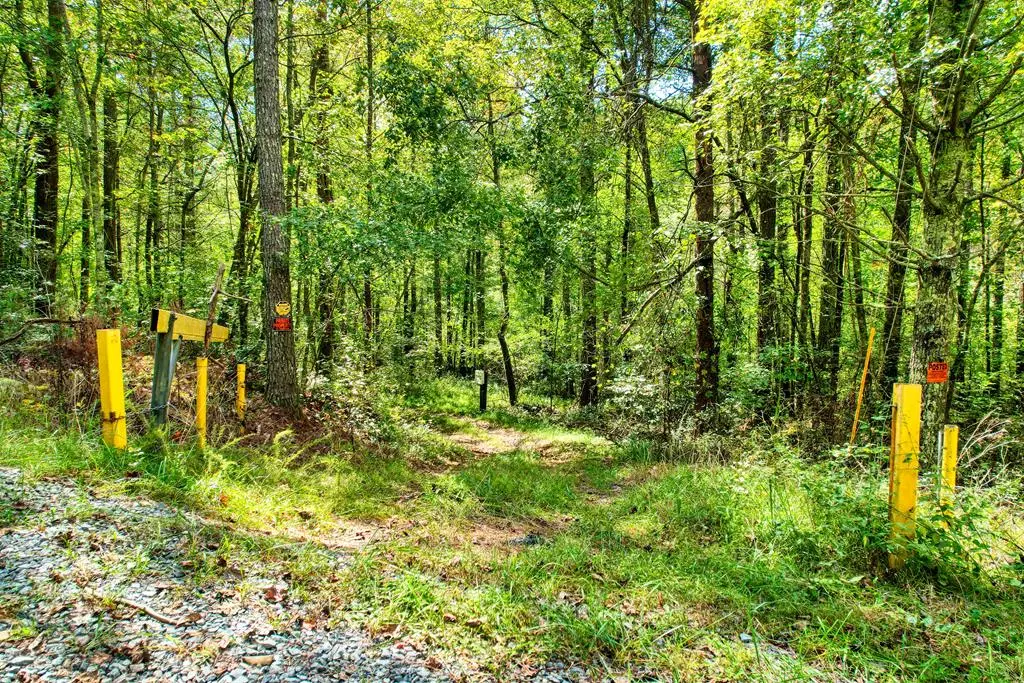 Ellijay, GA 30540,684 Old Miller Rock Road