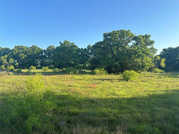 Bowie, TX 76230,Lot 2 Edgin Road