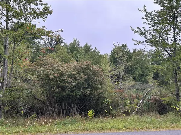 Tunkhannock Township, PA 18334,1325 Glade Drive #Lot 7143