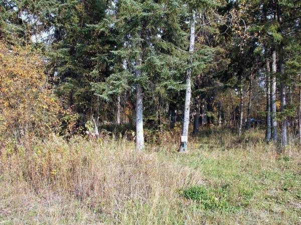 Brightsand Lake, SK S0M 0H0,Lot 7 WILLOW Bay