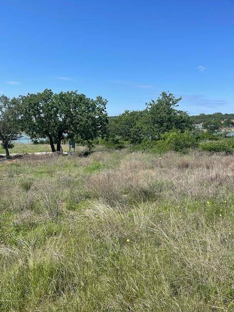 Cisco, TX 76437,133 Scenic Ridge Drive #Lot 22