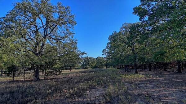 Saint Jo, TX 76265,TBD Thompson Road