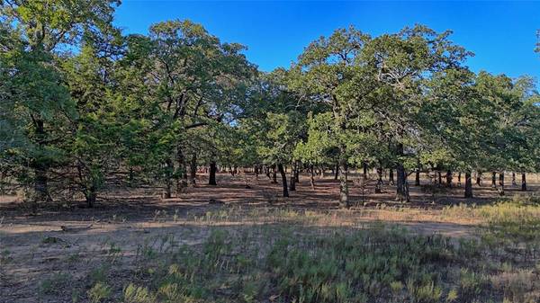 Saint Jo, TX 76265,TBD Thompson Road