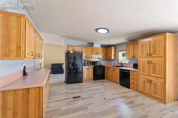 Florissant, CO 80816,154 Hummingbird CIR