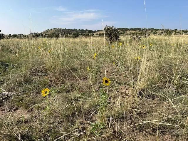 Walsenburg, CO 81089,Lot 133 Turkey Ridge Ranch