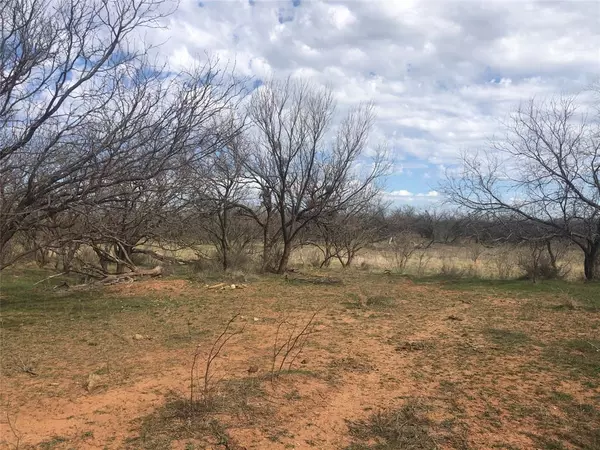 Abilene, TX 79602,90 Acre Bacacita Farms Road