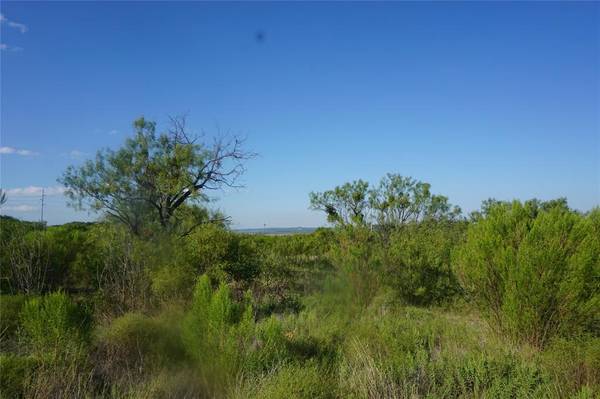 Possum Kingdom Lake, TX 76449,Lot 465 Canyon Wren