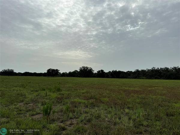 Basinger, FL 34972,TBD NW 176th Ave