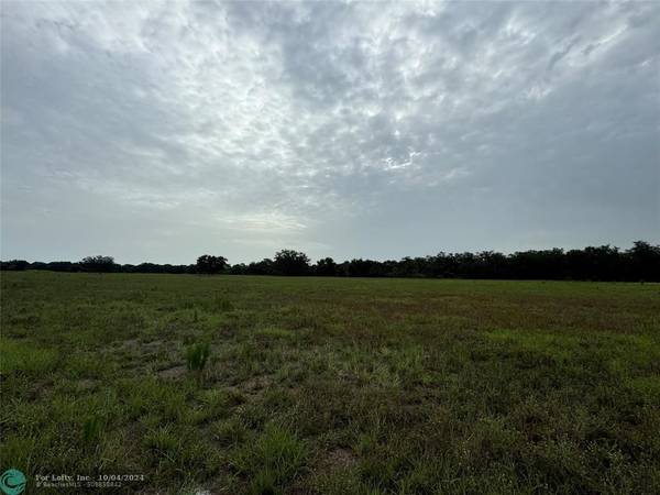 Basinger, FL 34972,TBD NW 176th Ave