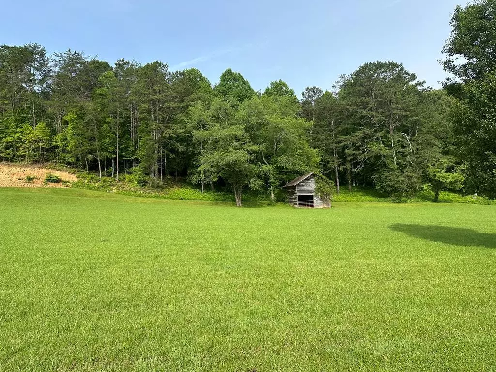 Warne, NC 28909,Lot 47 Prosperity Dr