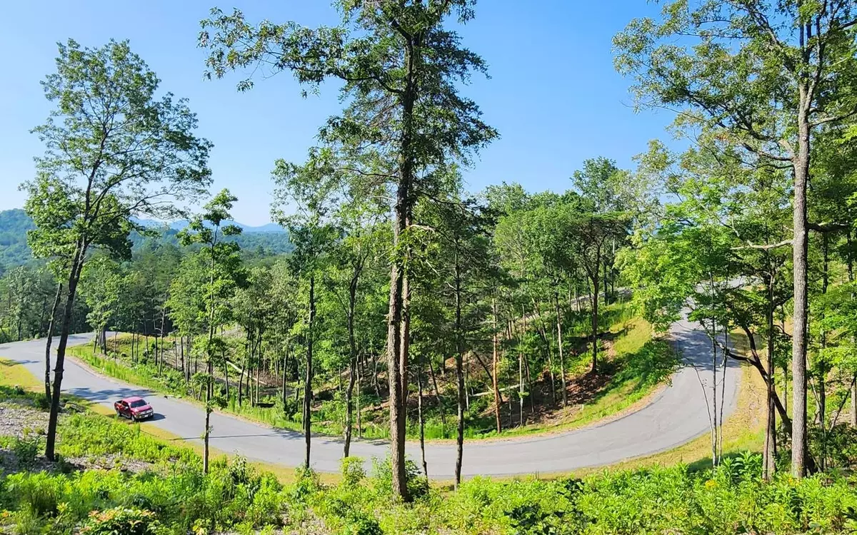 Mineral Bluff, GA 30559,LOT 6 Mountain Laurel Ridge