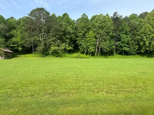 Warne, NC 28909,Lot 47 Prosperity Dr