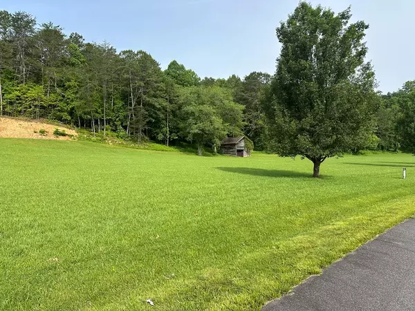 Warne, NC 28909,Lot 47 Prosperity Dr