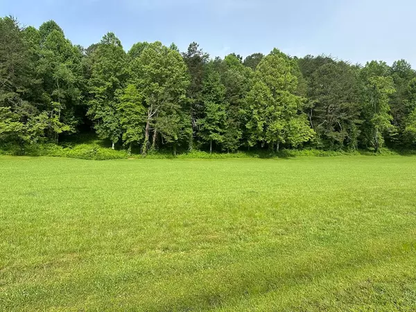 Warne, NC 28909,Lot 47 Prosperity Dr