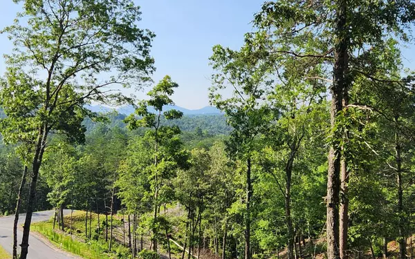 Mineral Bluff, GA 30559,LOT 6 Mountain Laurel Ridge