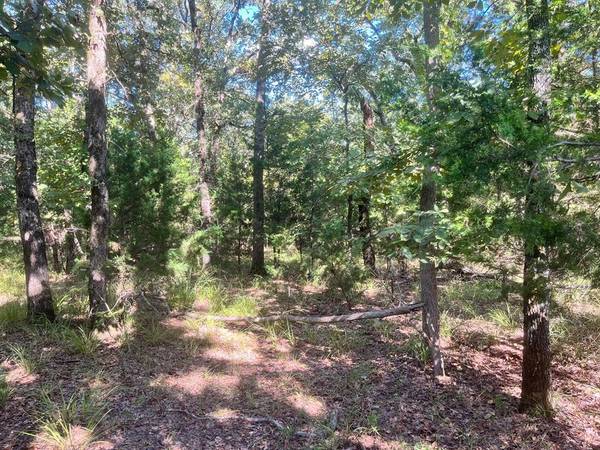 Lot 343 Fallow Run, Larue, TX 75770