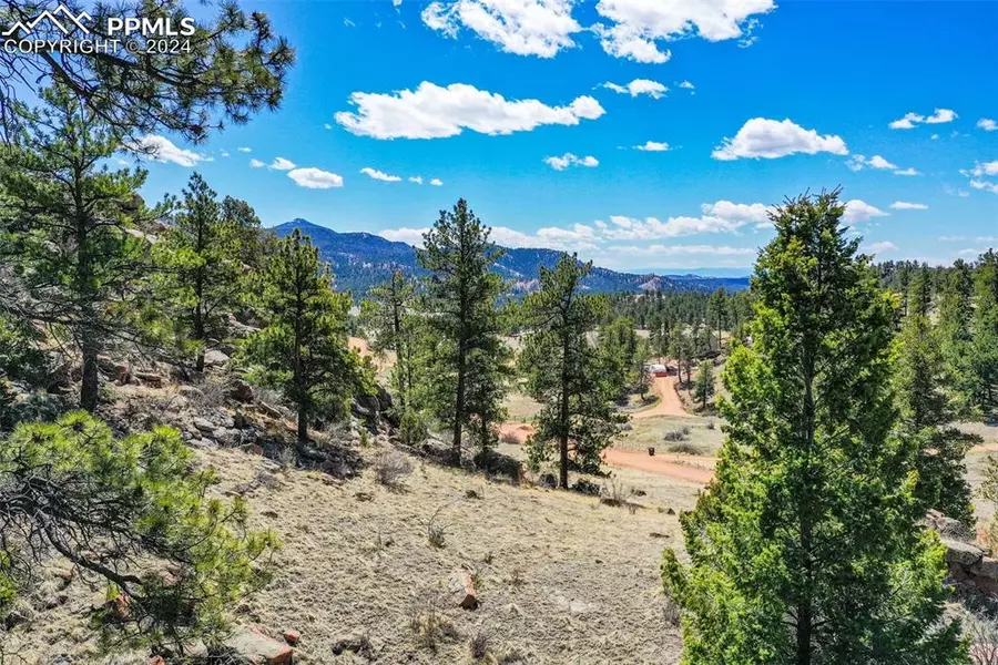 168 Sprucewood DR, Florissant, CO 80816