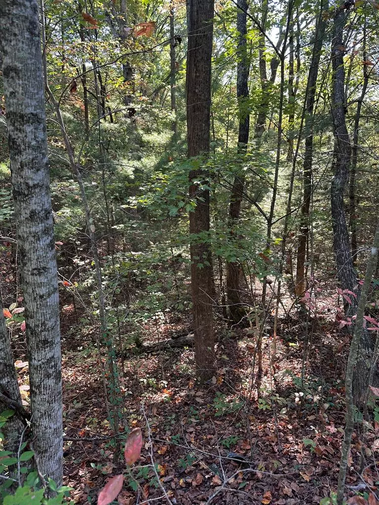 Ellijay, GA 30536,Lot 3 Marjorie Ave