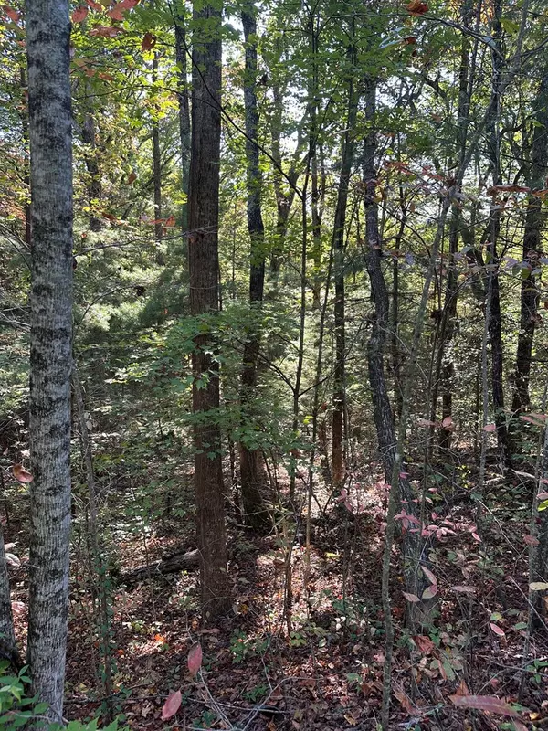 Ellijay, GA 30536,Lot 3 Marjorie Ave