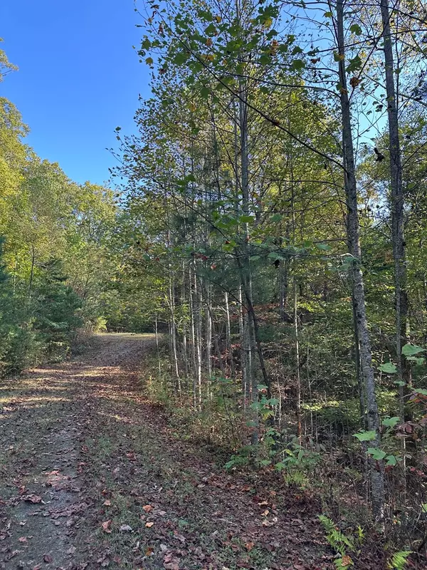 Ellijay, GA 30536,Lot 3 Marjorie Ave