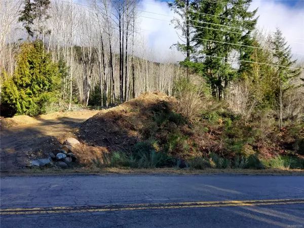 Lot B Cowichan Lake Rd, Lake Cowichan, BC V0R 2G0